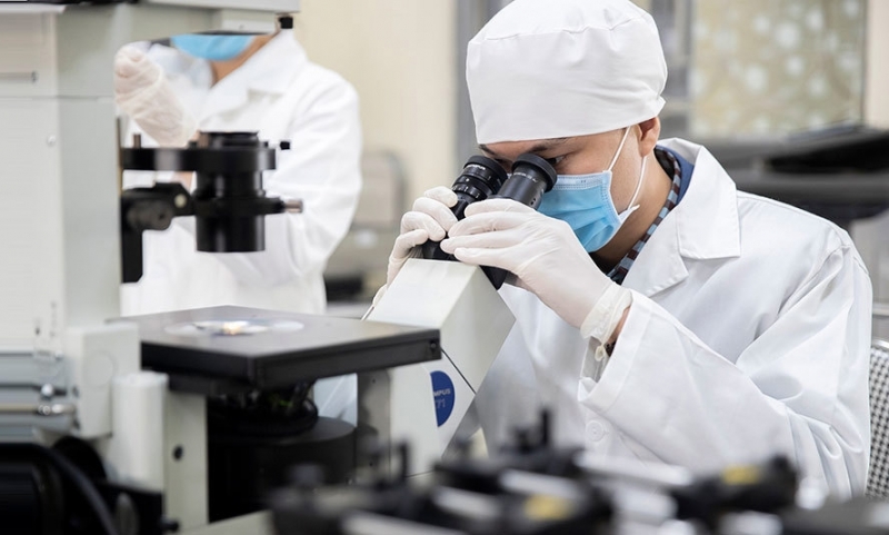 The VREF program is expected to annually select and fund research for approximately 100 outstanding PhD students – illustrative image.