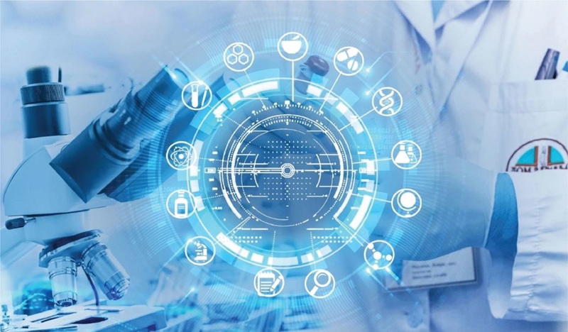 The development of science, technology, and innovation becomes the main driver of economic growth.